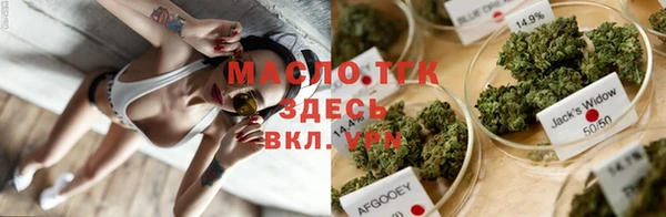 крисы Няндома