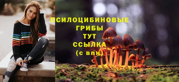 гидропоника Абаза