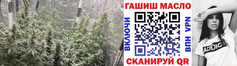 ТГК гашишное масло  маркетплейс официальный сайт  Осташков 