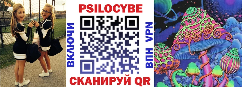 Псилоцибиновые грибы Psilocybe  закладка  Осташков 